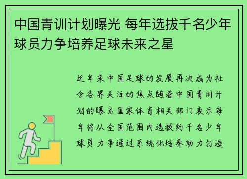 中国青训计划曝光 每年选拔千名少年球员力争培养足球未来之星